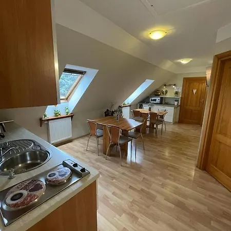 Han/Misafirhane Regina - Spokojna Okolica - 100 Metrow Od Lasu - Blisko Szpitala 2*