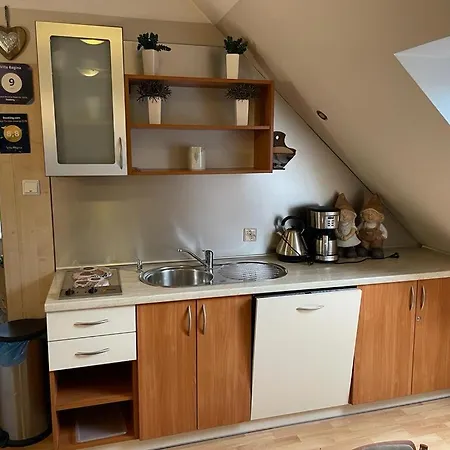 Han/Misafirhane Regina - Spokojna Okolica - 100 Metrow Od Lasu - Blisko Szpitala