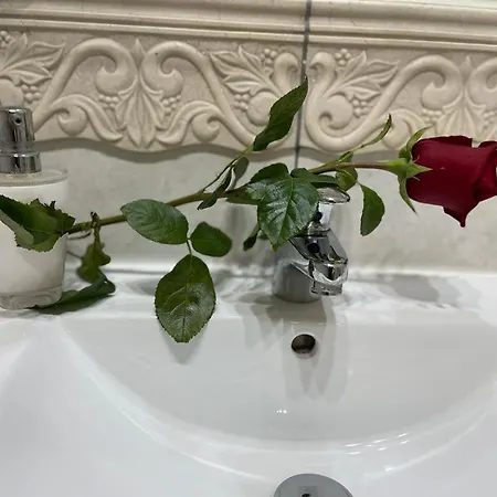 Han/Misafirhane Regina - Spokojna Okolica - 100 Metrow Od Lasu - Blisko Szpitala 2*