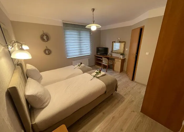 Zajazd Regina - Spokojna Okolica - 100 Metrów Od Lasu - Blisko Szpitala